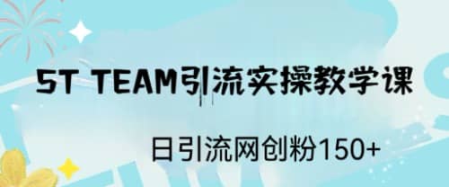 ST TEAM引流实操课，日引流网创粉100+-学途在线
