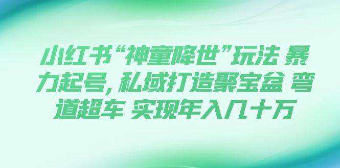 小红书“神童降世”玩法 暴力起号,私域打造聚宝盆 弯道超车 实现年入几十万-学途在线