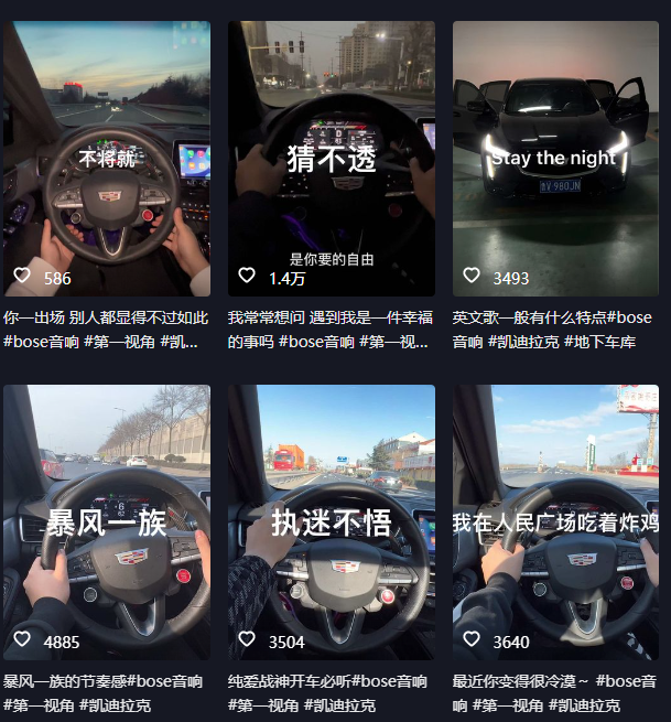 图片[2]-抖音开车视频项目，0基础操作，每天五分钟，月入1W -xx网创