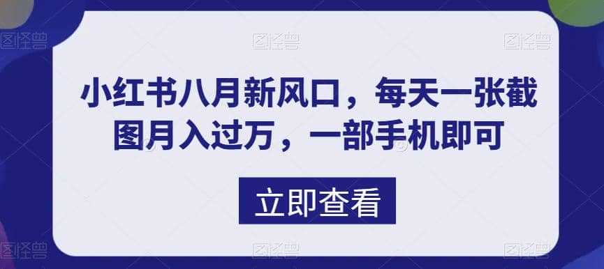 八月新风口，小红书虚拟项目一天收入1000+，实战揭秘-学途在线