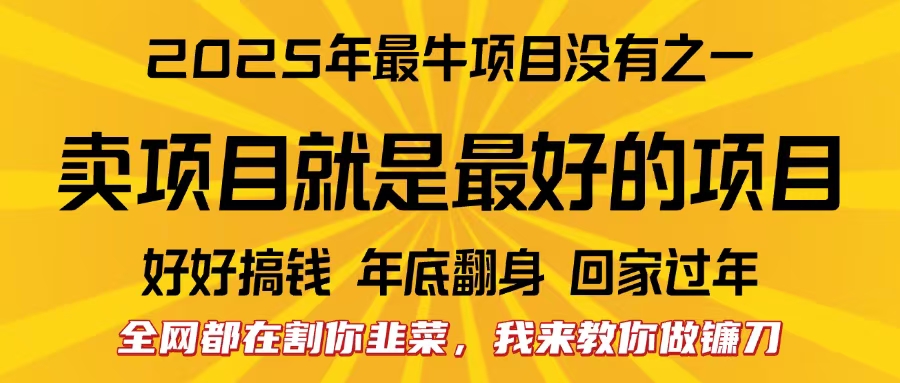 全网都在割你韭菜，我来教你做镰刀。卖项目就是最好的项目，2025年最牛互联网项目-学途在线