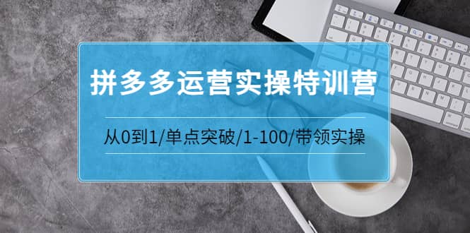 青云:拼多多运营实操特训营：从0到1/单点突破/1-100/带领实操 价值2980元-学途在线