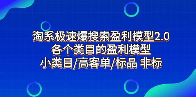 淘系极速爆搜索盈利模型2.0，各个类目的盈利模型，小类目/高客单/标品 非标-学途在线