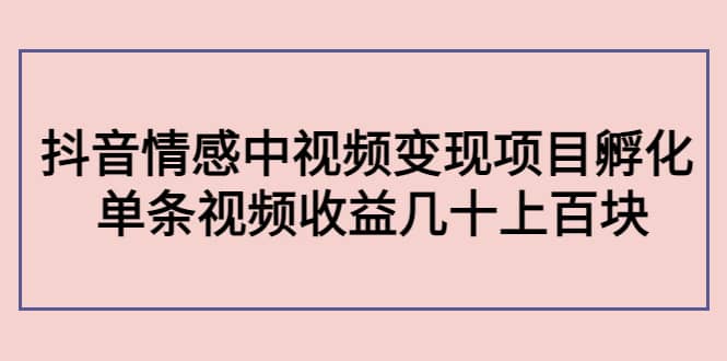 抖音情感中视频变现项目孵化-学途在线