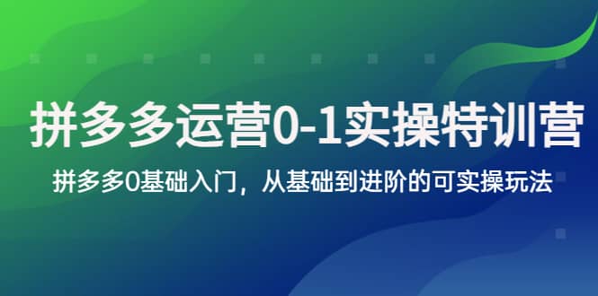 拼多多-运营0-1实操训练营，拼多多0基础入门，从基础到进阶的可实操玩法-学途在线