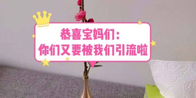 恭喜宝妈们：你们又要被我们引流了（教程+222g资料）-学途在线
