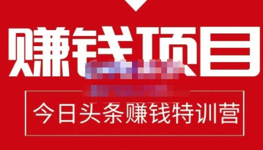 懒人领域·今日头条项目玩法，头条中视频项目，单号收益在50—500可批量-学途在线