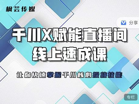 枫芸传媒-线上千川提升课，提升千川认知，提升千川投放效果-学途在线