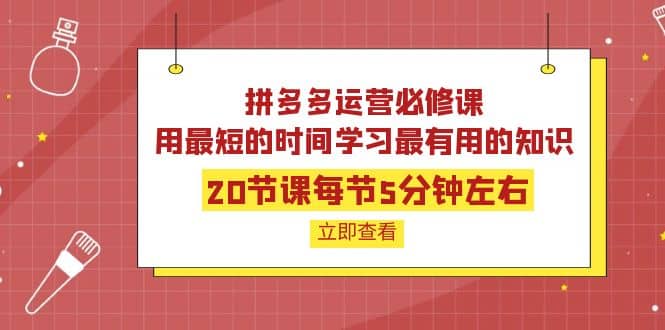 拼多多运营必修课：20节课每节5分钟左右，用最短的时间学习最有用的知识-学途在线