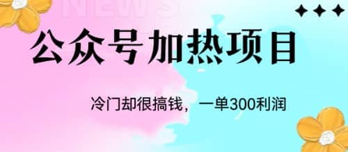 冷门公众号加热项目，一单利润300+-学途在线