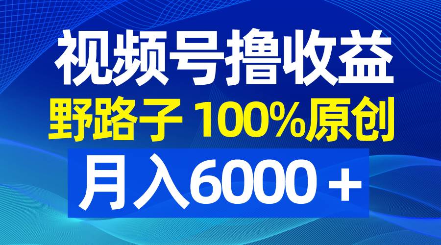 视频号野路子撸收益，100%原创，条条爆款，月入6000＋-学途在线