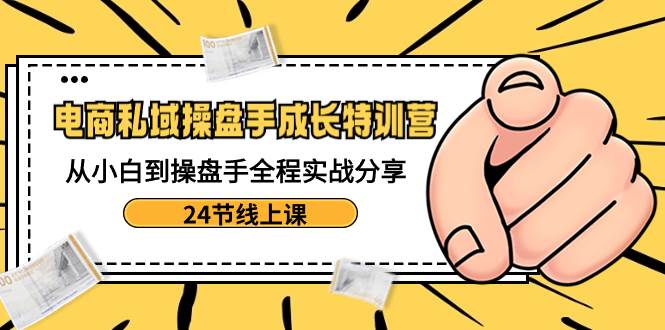 电商私域-操盘手成长特训营：从小白到操盘手全程实战分享-24节线上课-学途在线