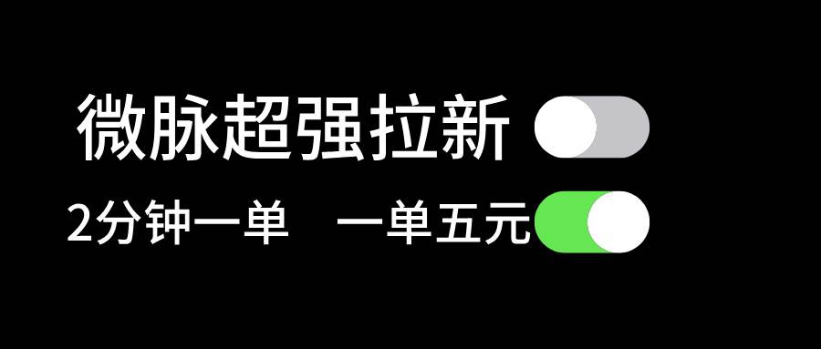 微脉超强拉新， 两分钟1单， 一单利润5块，适合小白-学途在线