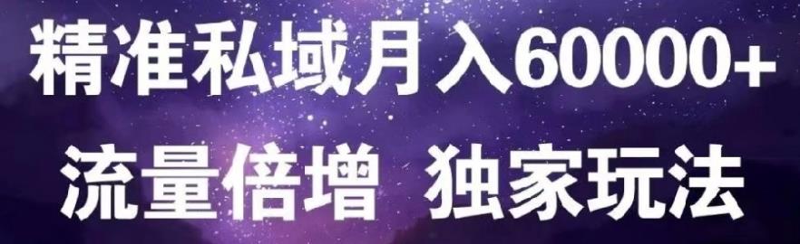 原力网赚精准私域月入60000+,流量倍增独家玩法-学途在线