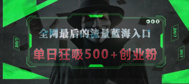 全网最后的流量蓝海入口，半小时引流50+创业粉，单日狂吸500+创业粉-学途在线