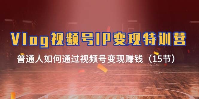 Vlog 视频号IP变现特训营，普通人如何通过视频号变现赚钱（15节）-学途在线