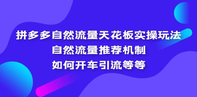 拼多多自然流量天花板实操玩法：自然流量推荐机制，如何开车引流等等-学途在线