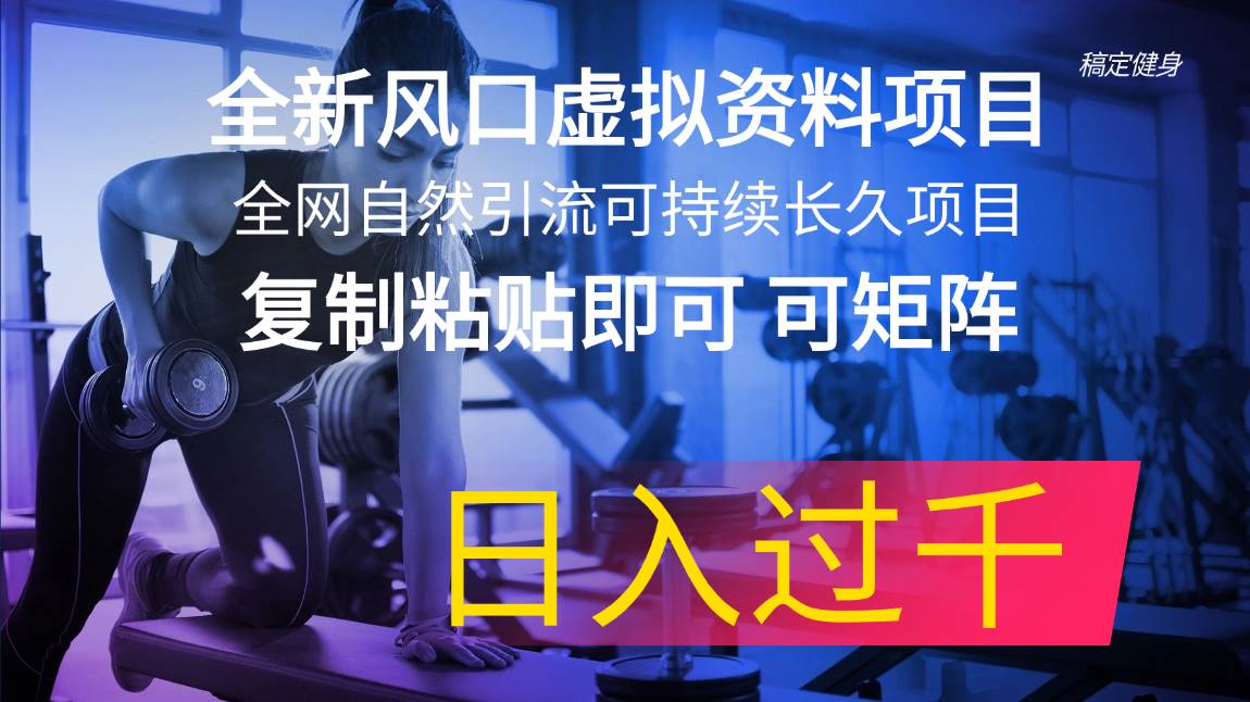 全新风口虚拟资料项目 全网自然引流可持续长久项目 复制粘贴即可可矩阵…-学途在线