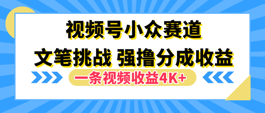 视频号小众赛道，文笔挑战，一条视频收益4K+-学途在线