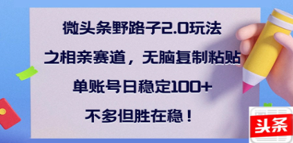 全网首发微头条野路子2.0玩法之相亲赛道，无脑搬砖复制粘贴，单账号日稳定300+保姆级教程-学途在线