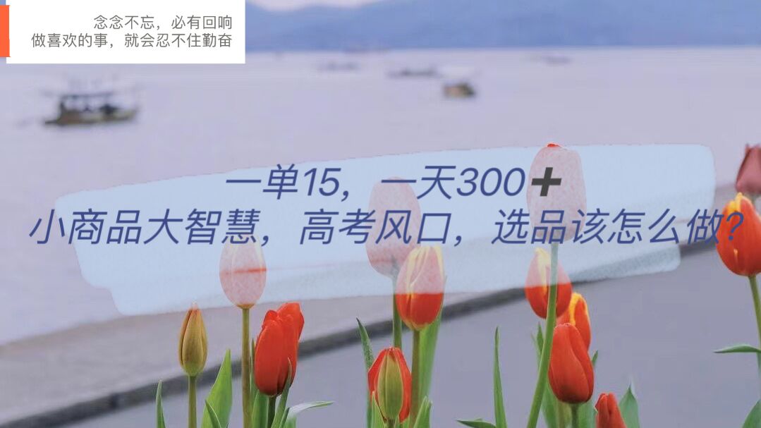 一单15，一天300+，小商品大智慧，高考风口，选品该怎么布局-学途在线