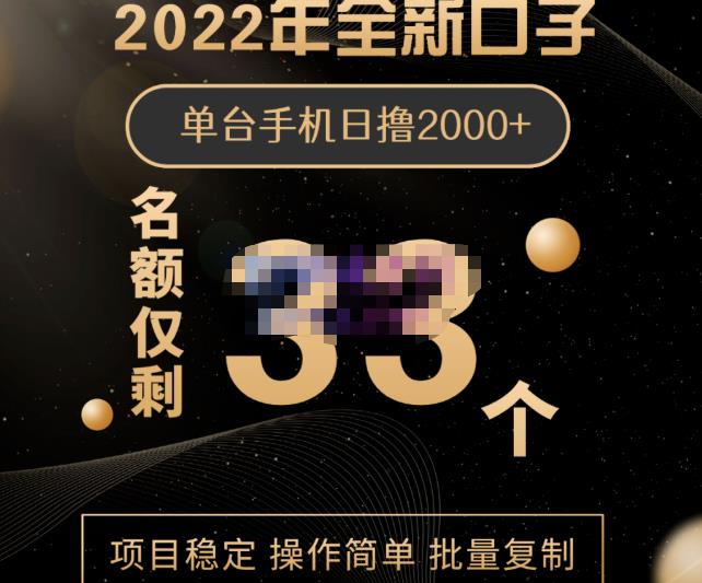 2022年全新口子，手机批量搬砖玩法，一部手机日撸2000+-学途在线