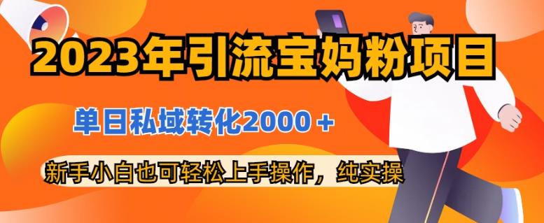 2023年引流宝妈粉项目，单日私域转化2000＋，新手小白也可轻松上手操作，纯实操-学途在线
