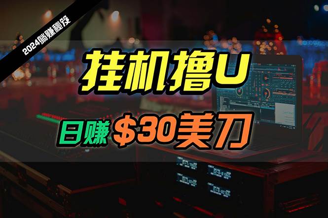 日赚30美刀，2024最新海外挂机撸U内部项目，全程无人值守，可批量放大-学途在线