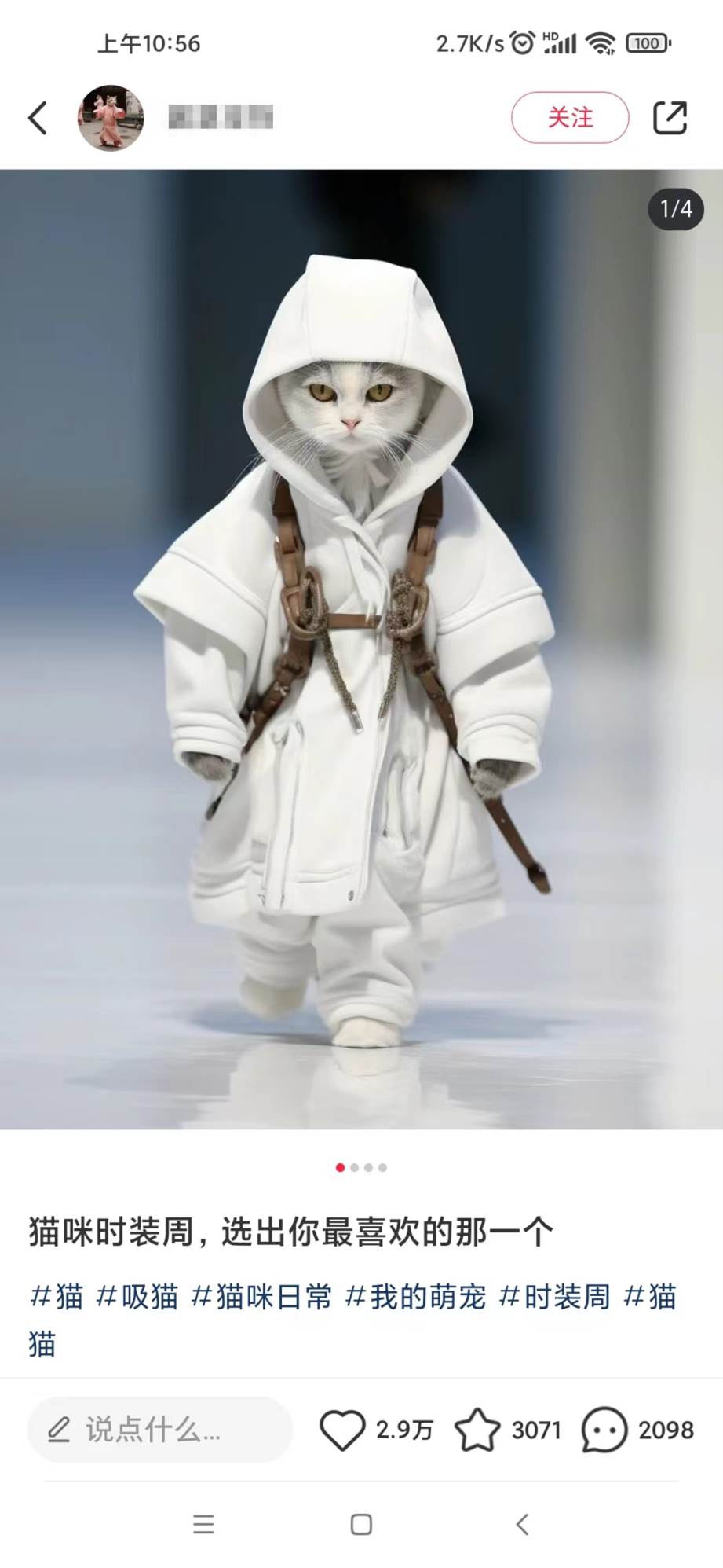 图片[2]-适合小白 宝妈 上班族 大学生互联网兼职 小红书爆款项目Animal秀，月入1W-xx网创