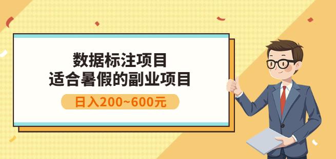 副业赚钱：人工智能数据标注项目，简单易上手，小白也能日入200+-学途在线