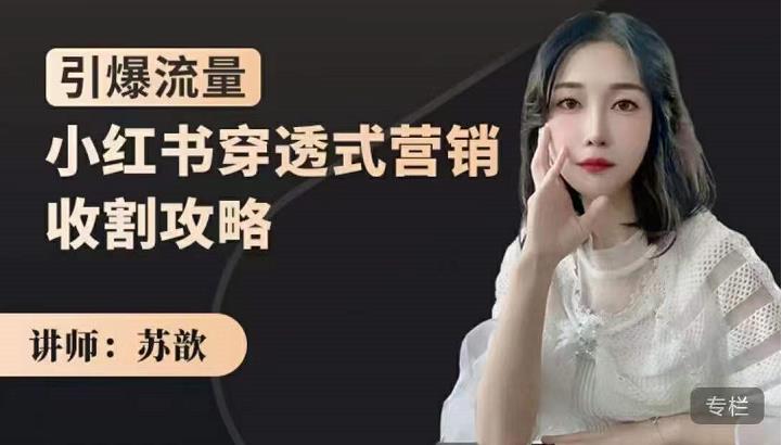 图片[1]-苏歆：小红书穿透式营销收割攻略，引爆流量，助你玩转小红书-xx网创