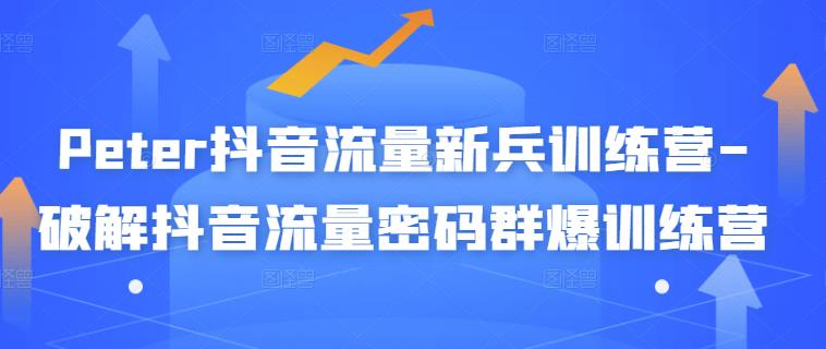 Peter抖音流量新兵训练营-破解抖音流量密码群爆训练营（新兵）-学途在线