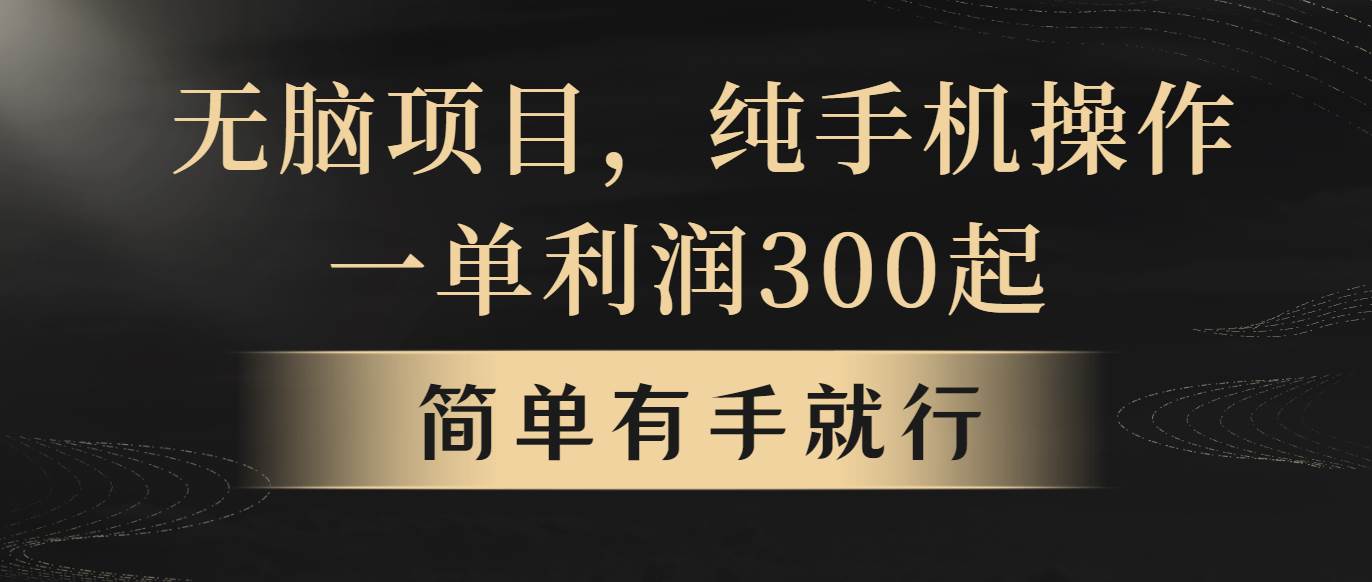 无脑项目，一单几百块，轻松一个月5w+，看完就能直接操作-学途在线