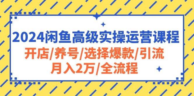 2024闲鱼高级实操运营课程：开店/养号/选择爆款/引流/月入2万/全流程-学途在线