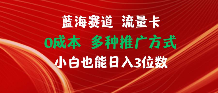蓝海赛道 流量卡 0成本 小白也能日入三位数-学途在线