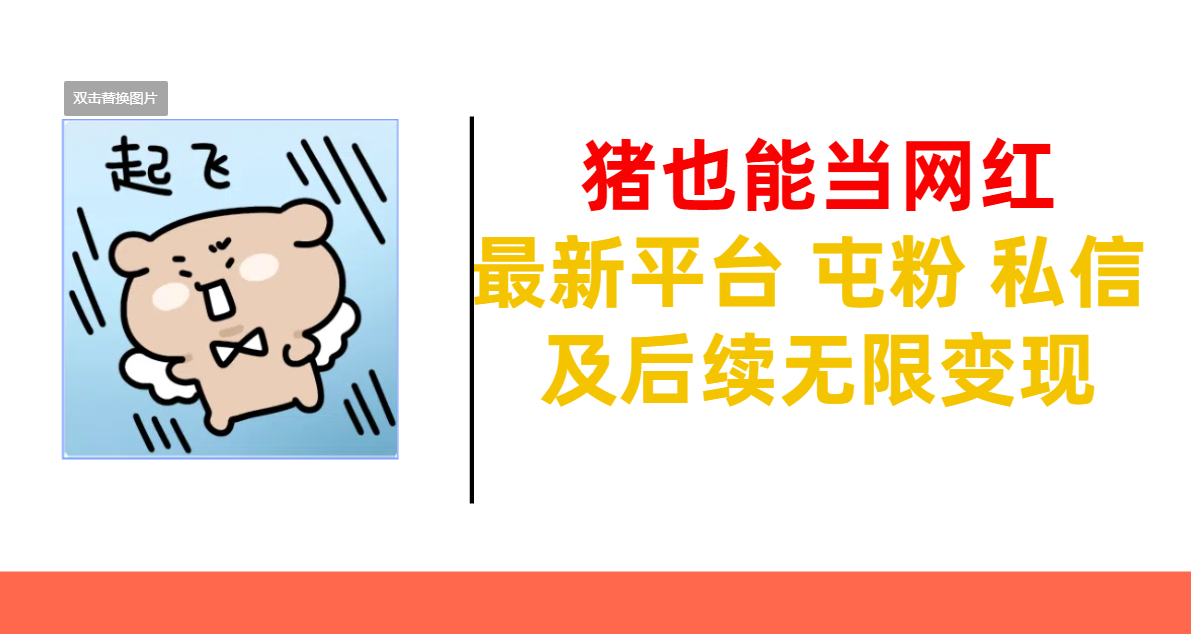 猪也能当网红-最新平台 屯粉 交流 私信 及后续无限变现-学途在线