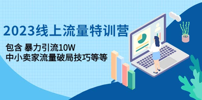 2023线上流量特训营：中小卖家流量破局技巧等等-学途在线