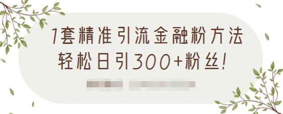 1套精准引流金融粉方法，轻松日引300+粉丝【视频课程】-学途在线