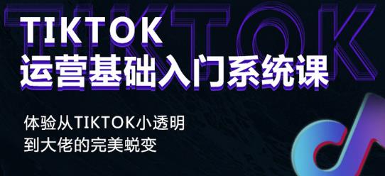 图片[1]-Tiktok实操进阶课程，体验从tiktok小透明到大佬的完美蜕变-xx网创