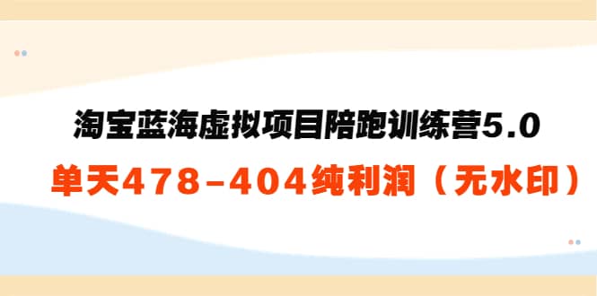 ：淘宝蓝海虚拟项目陪跑训练营5.0：单天478纯利润（无水印）-学途在线