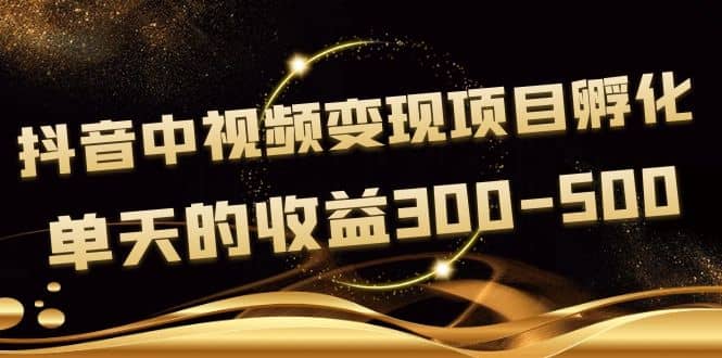 黄岛主《抖音中视频变现项目孵化》单天的收益300-500 操作简单粗暴-学途在线