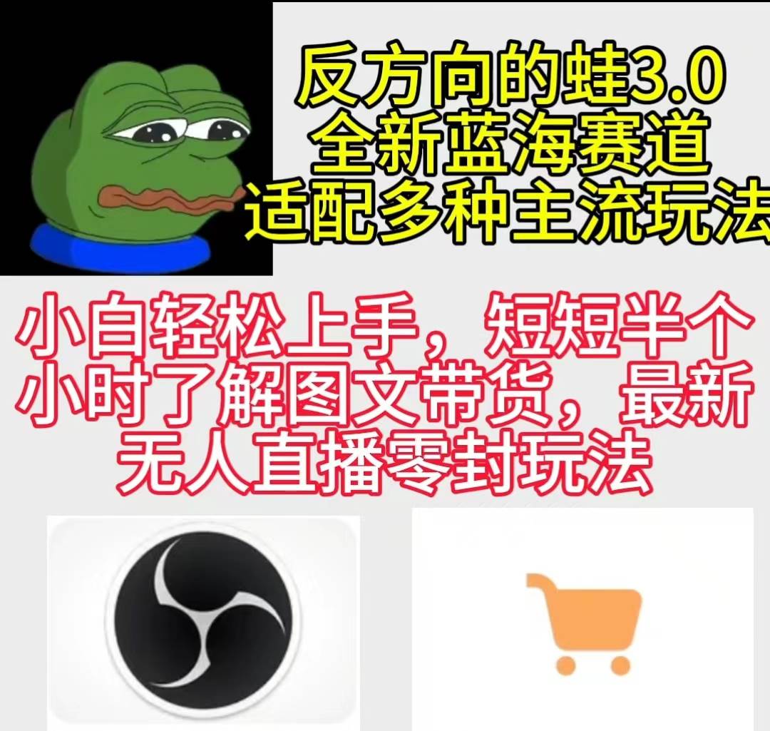 反方向的蛙3.0，图文最新玩法，变现多元化，新蓝海项目，小白轻松上手-学途在线