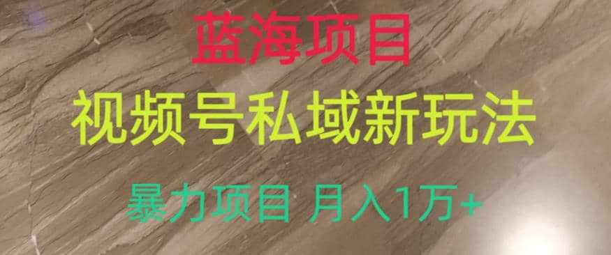 蓝海项目，视频号私域新玩法，暴力项目月入1万+【揭秘】-学途在线