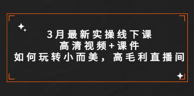 3月最新实操线下课高清视频+课件，如何玩转小而美，高毛利直播间-学途在线