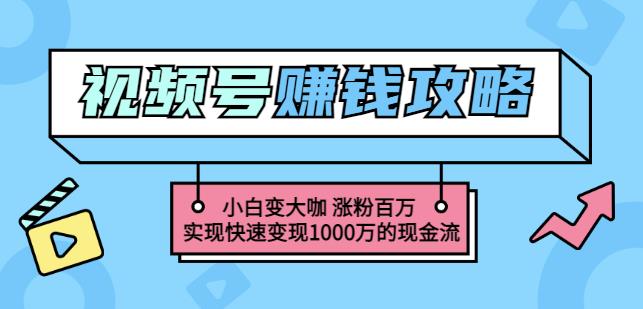 玩转微信视频号赚钱：小白变大咖涨粉百万实现快速变现1000万的现金流-学途在线