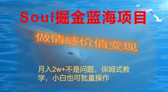 Soul掘金蓝海项目细分赛道，做情感价值变现，月入2w+不是问题-学途在线