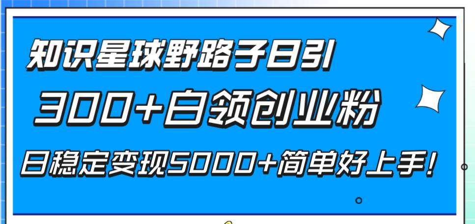 知识星球野路子日引300+白领创业粉，日稳定变现5000+简单好上手！-学途在线