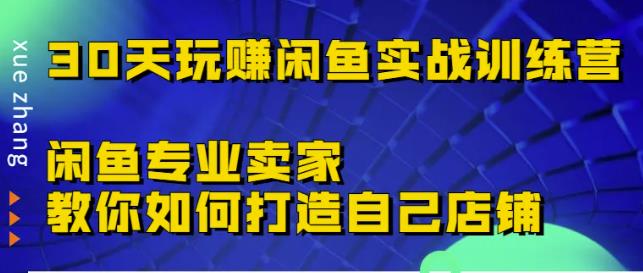 30天玩赚闲鱼实战训练营，闲鱼专业卖家教你如何打造自己店铺-学途在线