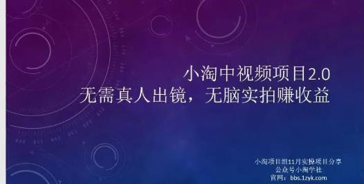 小淘项目组网赚永久会员，绝对是具有实操价值的，适合有项目做需要流程【持续更新】-学途在线