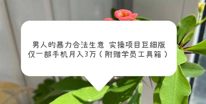 男人的暴力合法生意实操项目巨细版（附赠学员工具箱）-学途在线